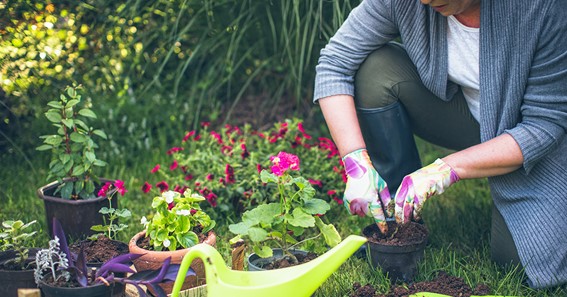 Eight Ways Gardening Helps Aging Adults