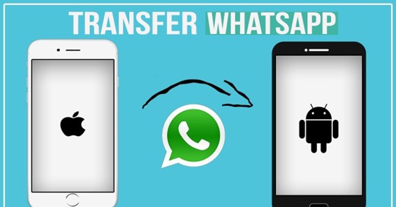 How To Transfer WhatsApp From iPhone to Android