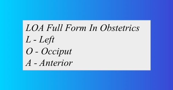 LOA Full Form In Obstetrics