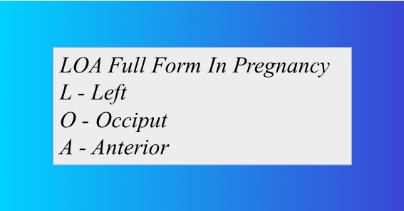 LOA Full Form In Pregnancy