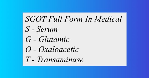 SGOT Full Form In Medical