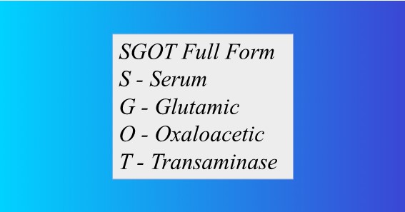 SGOT Full Form