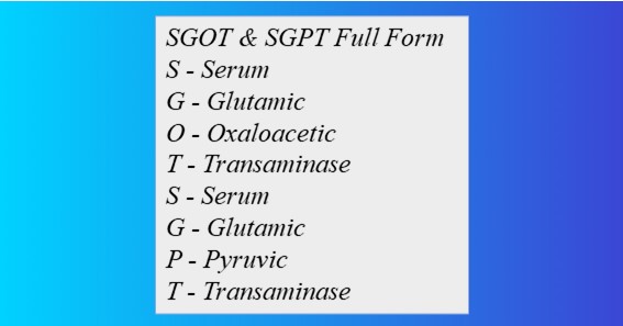 SGOT & SGPT Full Form