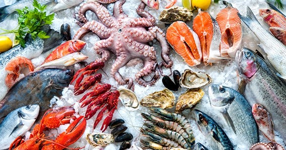 The Health Benefits of Seafood: What You Need to Know