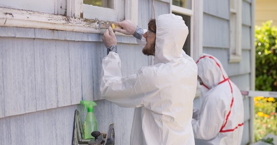 How To Deal With Lead Paint & Safely Remove It