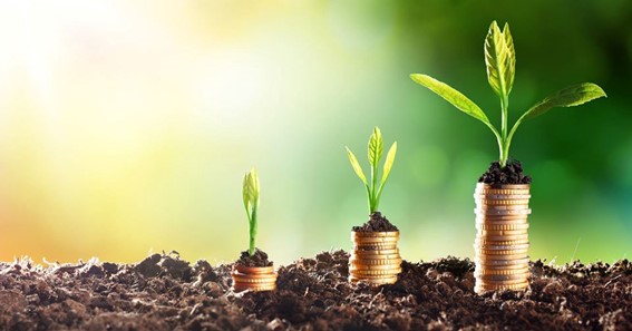 Beginner’s Guide to Startup Funding: From Seed to IPO