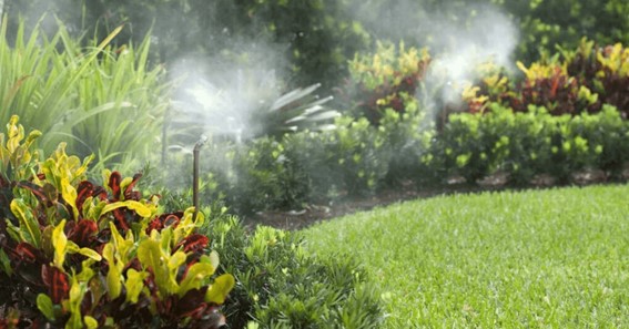 What’s The Best Way To Maintain A Mosquito Misting System?