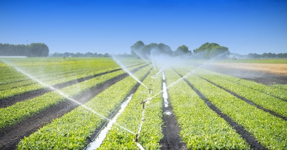 6 Ways to Reduce Water Used for Irrigation