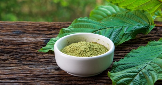 HIGH-QUALITY KRATOM: WHY IT MATTERS & HOW TO TELL