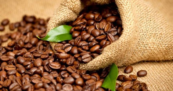 Shopping For Top Quality Roasted Arabica Coffee Beans Online