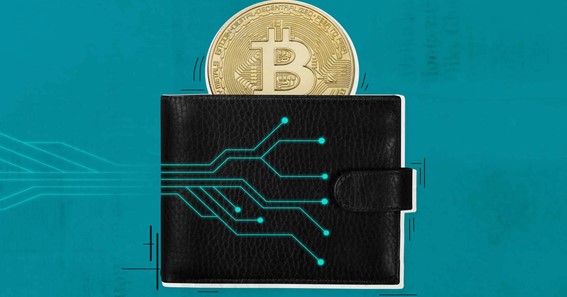 What are Crypto hot wallets and cold wallets