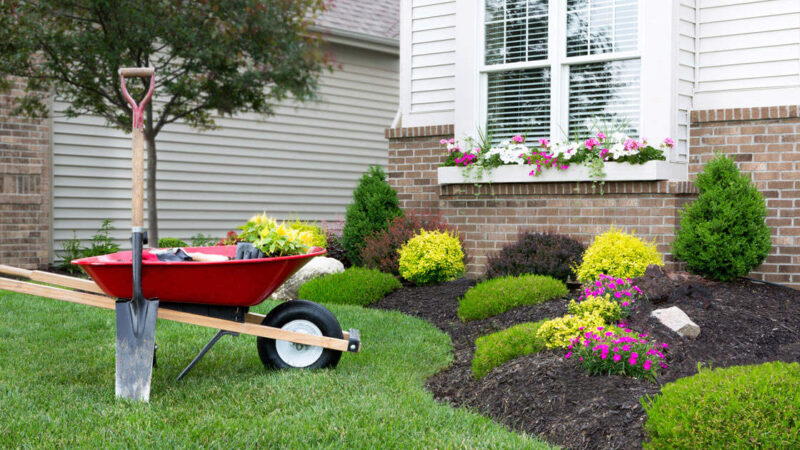 Defending Your Lawn Or Garden Against Summertime Pests