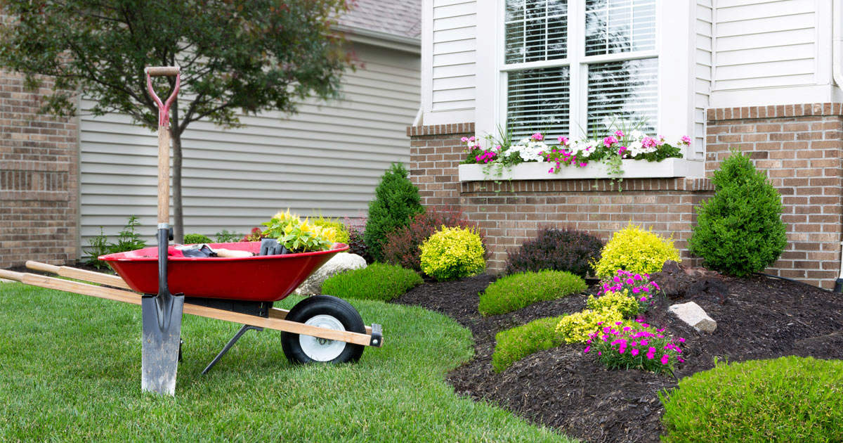 Defending Your Lawn Or Garden Against Summertime Pests