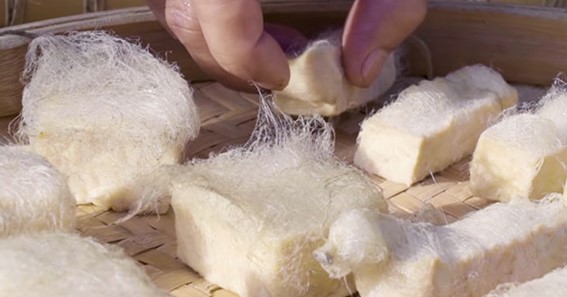 What Is Hairy Tofu?